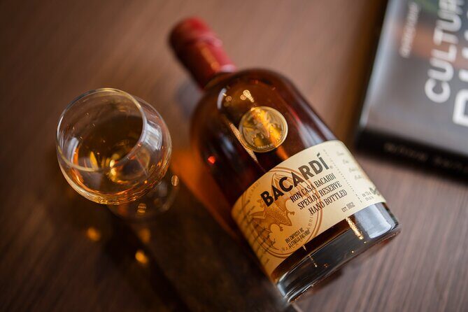 Rum Tasting Tour at Casa BACARDÍ in Puerto Rico - The short distillery tour: what you’ll see on the trolley ride