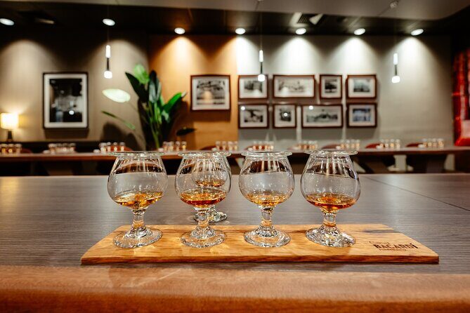 Rum Tasting Tour at Casa BACARDÍ in Puerto Rico - Your 75-minute flow: pavilion meet-up, welcome cocktail, and tasting room