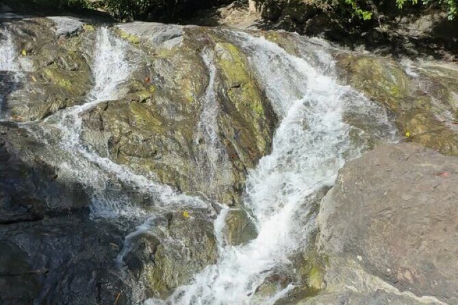 Salto de Pilar Cliff Jumping Tour - The Forest Hike: Moderate Work Before the Reward
