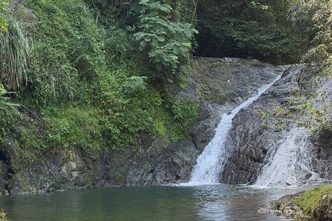 Salto de Pilar Cliff Jumping Tour - Price and Value: Is $80 Worth It?