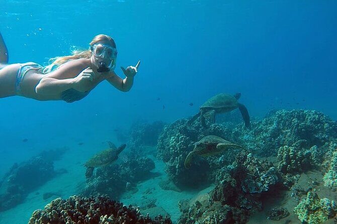 San Juan Guided Snorkel With Turtles Tour and Videos - Key things that make this tour worth your time