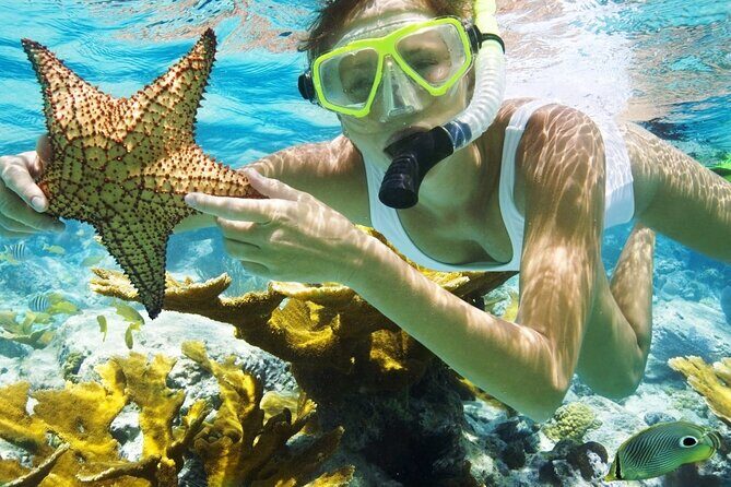 San Juan Guided Snorkeling Experience - With Transport 8am or 3pm - Key things to know before you go