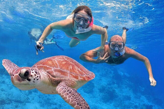 San Juan Guided Snorkeling Experience - With Transport 8am or 3pm - Small group size and why it helps first-timers