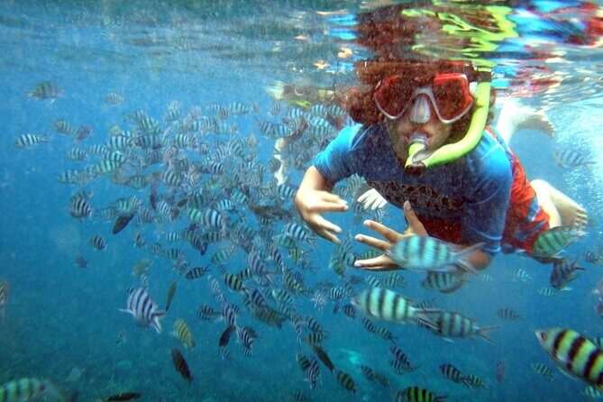 San Juan Guided Snorkeling Experience - With Transport 8am or 3pm - The guide factor: patience, education, and what you should look for