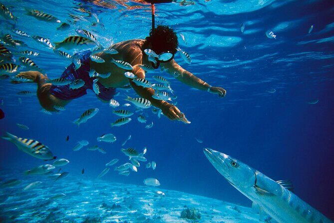 San Juan Guided Snorkeling Experience - With Transport 8am or 3pm - What to bring so the day feels easy (and not painful)