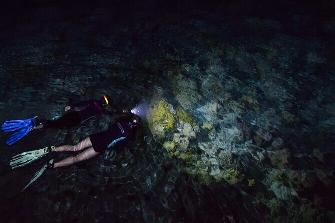 San Juan LED Night Snorkel - LED and UV lighting: what you’ll actually see after sunset