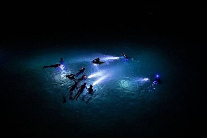 San Juan LED Night Snorkel - Who this tour fits best (and who should think twice)