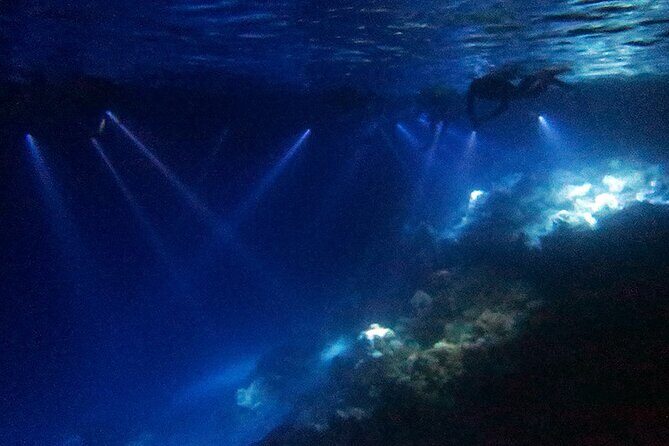 San Juan LED Night Snorkel - Your 90 minutes in San Juan: timing and pacing that feel realistic