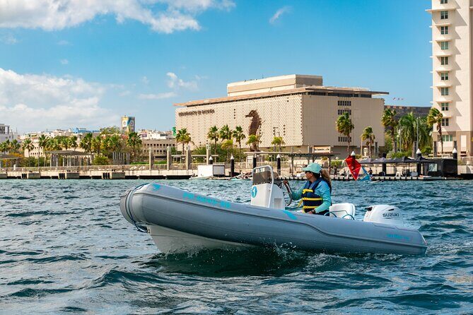 San Juan Mini Boat Tour - A 13-foot inflatable where you’re really at the helm