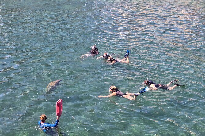 San Juan Snorkel with Turtles and Manatee's; Free Video and Rum! - The Swim-Out With No Boat: Currents, Work, and How to Stay Comfortable