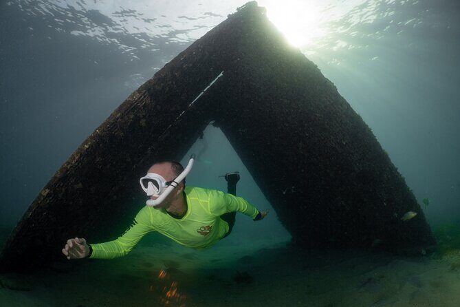 San Juan Snorkeling Tour with Fish and Turtles - Underwater highlights you can actually follow: Fish Protection Wall to Taino Reefs
