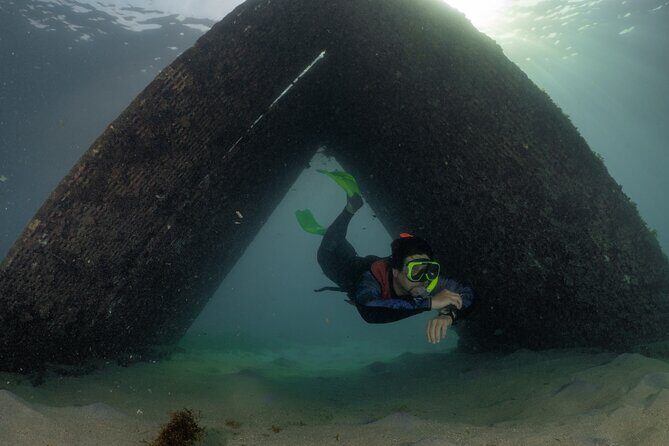 San Juan Snorkeling Tour with Fish and Turtles - Price and value: is $67 a smart deal for San Juan snorkeling?