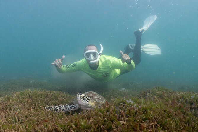 San Juan Snorkeling Tour with Fish and Turtles - Gear, lockers, showers, and the no-drama rinse after