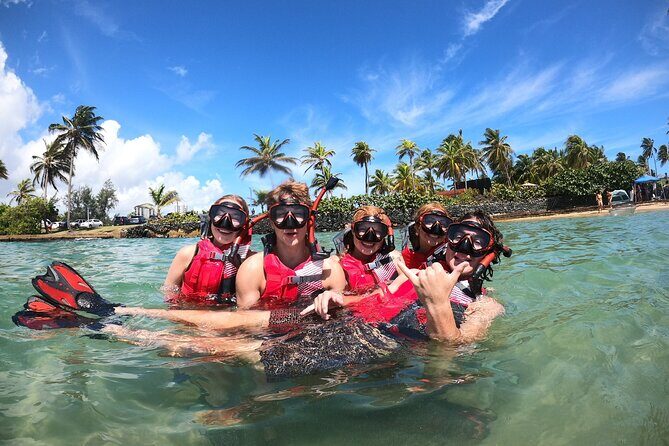 San Juan: Snorkeling with Turtles Adventure and Free Videos - Shore Start in San Juan: No Boat, Just Ocean