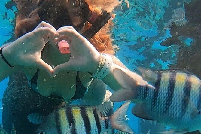San Juan: Snorkeling with Turtles Adventure and Free Videos - The 1.5-Hour Flow: Gear Up, Get Briefed, Then Snorkel From the Shore
