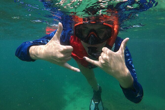 San Juan: Snorkeling with Turtles Adventure and Free Videos - Best Time to Go: Morning Often Means More Action