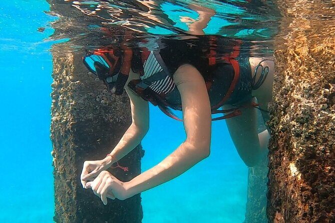 San Juan: Snorkeling with Turtles Adventure and Free Videos - Meeting Point Reality: Finding FW85+JH Without Stress