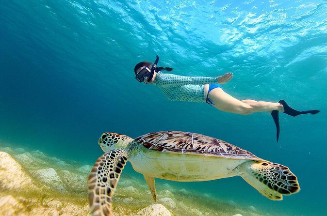 San Juan Turtle Spotting Snorkel Adventure with Videos - Balneario El Escambrón: what to expect when you’re in the water