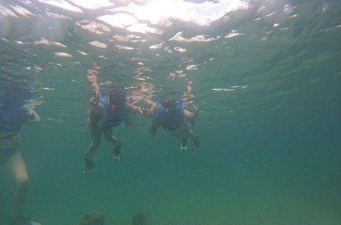 San Juan Turtle Spotting Snorkel Adventure with Videos - Gear, water, and the practical logistics that matter