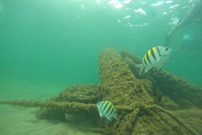 San Juan Turtle Spotting Snorkel Adventure with Videos - Videos as a memory: helpful when you just want to swim
