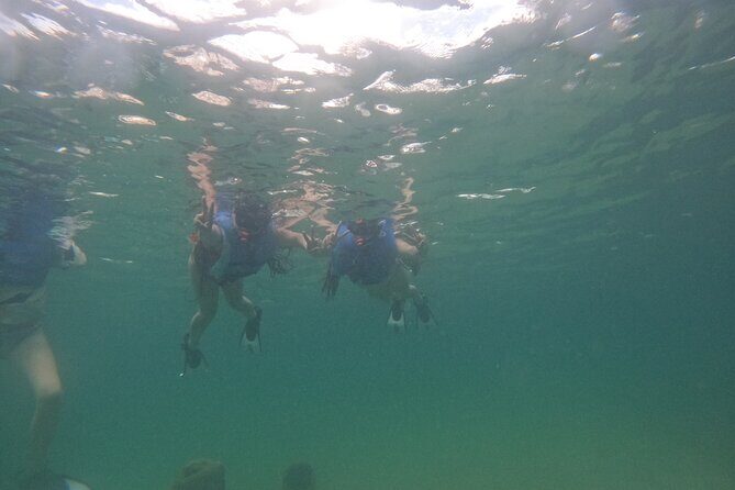 San Juan Turtle Spotting Snorkel Adventure with Videos - Turtle sightings aren’t guaranteed, so plan for the full sea-life experience