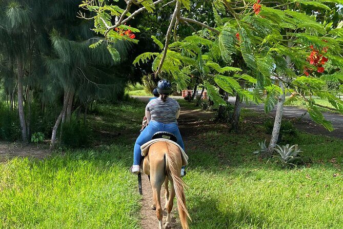 Scenic Horseback Riding Tour from San Juan - Stop One at Hacienda Campo Rico: The Real “Main Event”