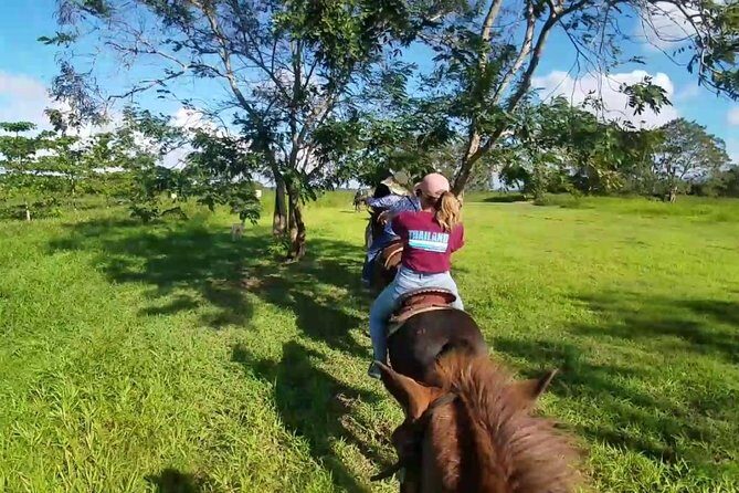 Scenic Horseback Riding Tour from San Juan - Horses, Safety, and the 240 lbs Limit (This Is Not Negotiable)