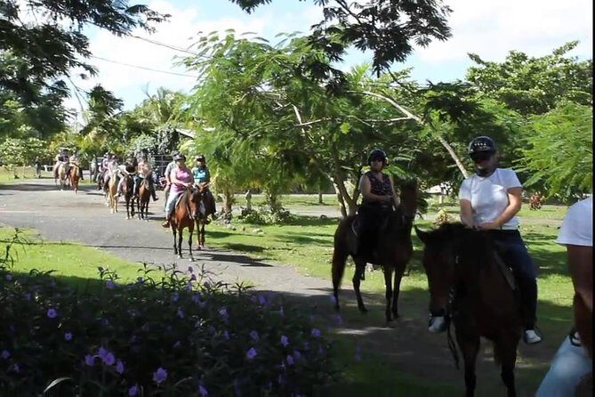Scenic Horseback Riding Tour from San Juan - What to Wear and Bring So You Enjoy It