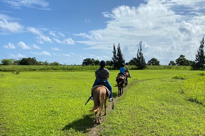 Scenic Horseback Riding Tour from San Juan - Getting Started at the Stables: The Included Riding Lesson