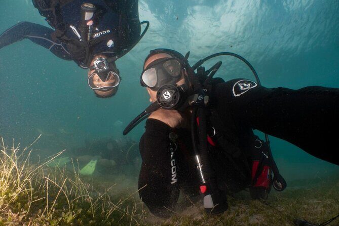 Scuba Tour for Certified Divers in San Juan - Why Escambrón Marine Park Works So Well (Even If You’ve Seen Other Reefs)