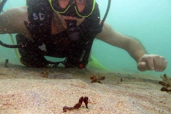 Scuba Tour for Certified Divers in San Juan - Meeting at Scuba Dogs: Getting Ready Without Stress