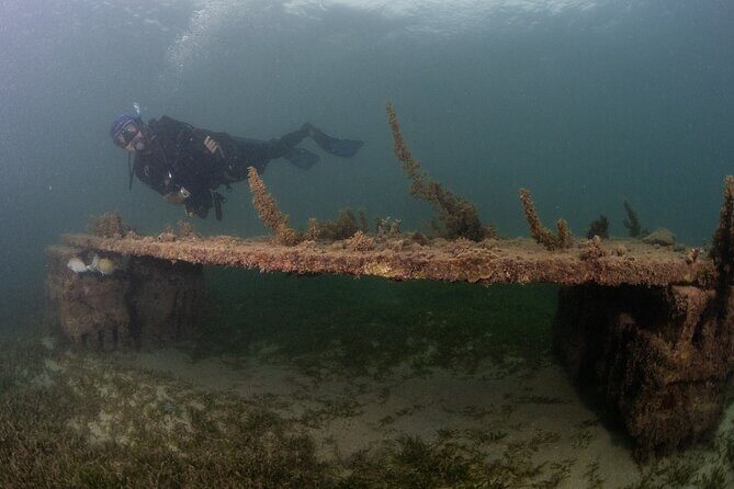Scuba Tour for Certified Divers in San Juan - On-Site Facilities: Showers, Lockers, and Actually Getting Comfortable After