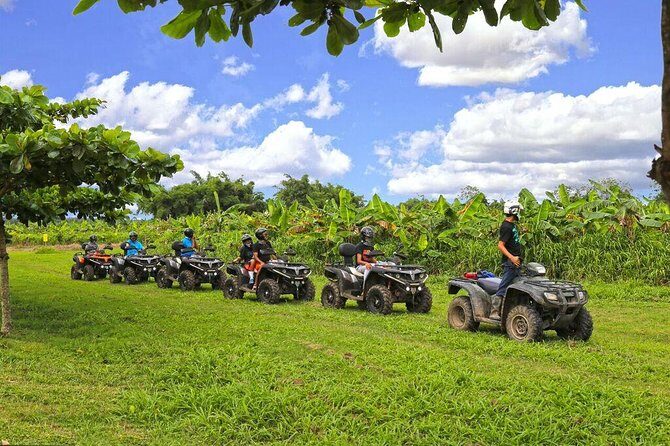 Single ATV Experience: Free Piña Colada + Hacienda Transfer - Single ATV + Hacienda Transfer: what this day really feels like