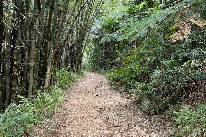 Small Group El Yunque Half Day Tour with Transport: Waterslide - Photos, videos, and what you should do with your phone