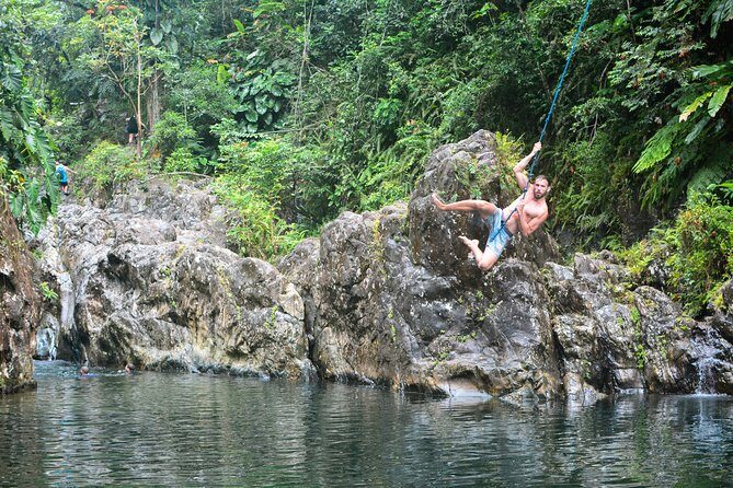 Small-Group El Yunque Rainforest Vivid Day Tour with Transport - Rope Swings and Cliff Jumps: Who Should Say Yes