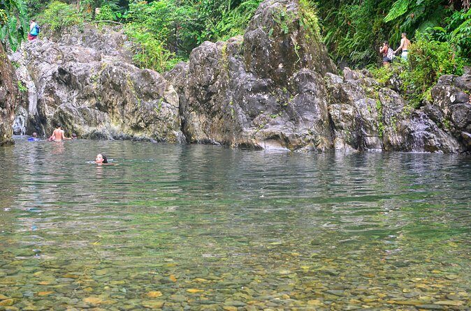 Small-Group El Yunque Rainforest Vivid Day Tour with Transport - Guides Make It Personal: From Eliu to Patricia