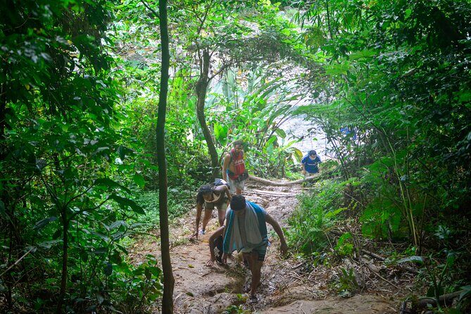 Small-Group El Yunque Rainforest Vivid Day Tour with Transport - What to Bring (So You Don’t Regret It Midday)