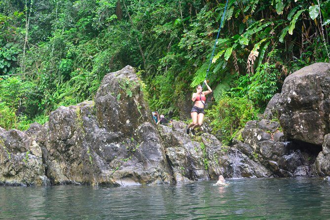Small-Group El Yunque Rainforest Vivid Day Tour with Transport - The Eastside Hike: 30 Minutes of Rainforest Footing