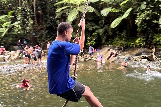 Small-Group El Yunque Waterslide Adventure & transportation - Key Things I Think You’ll Really Notice