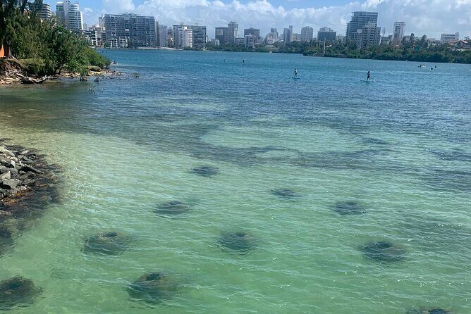 Snorkeling Guided Tour Experience in Condado Lagoon - Key takeaways before you book