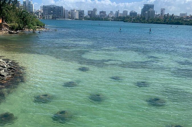 Snorkeling Guided Tour Experience in Condado Lagoon - Currents, clarity, and why “calm” still means active swimming