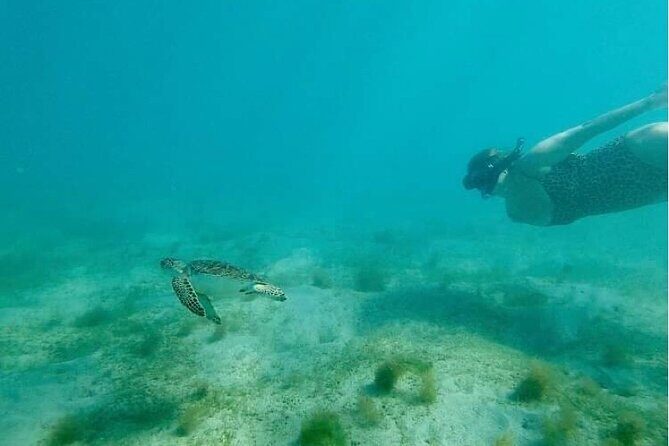 Snorkeling in Paradise - Videos Included - Escambron Beach: the practical starting point in San Juan