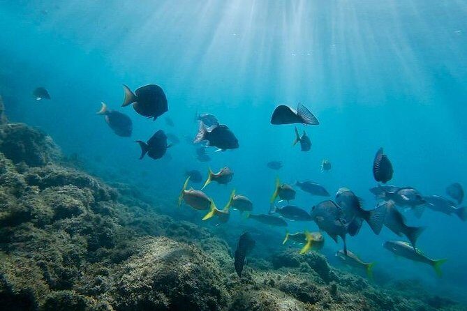 Snorkeling in Paradise - Videos Included - Why the guide names show up: instruction that keeps you safe and moving