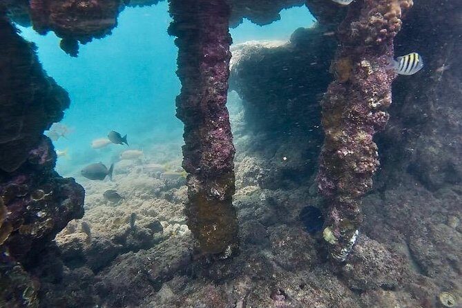 Snorkeling in Paradise - Videos Included - Getting the most from the water session (and avoiding common headaches)