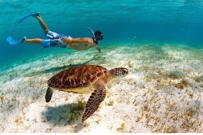 Snorkeling in Paradise - Videos Included - The 1.5-hour rhythm: what happens from briefing to video transfer