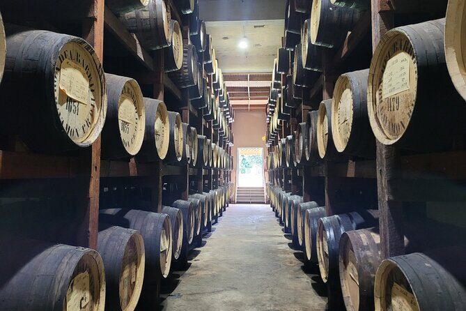 The Barrilito Rum Factory Experience Transportation Included - Why Ron del Barrilito Feels More Local Than the Usual Rum Stops