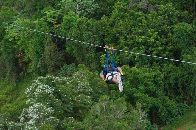 The Beast Zipline at Toroverde Adventure Park in Puerto Rico - Price and value: is $64.81 for one run worth it?
