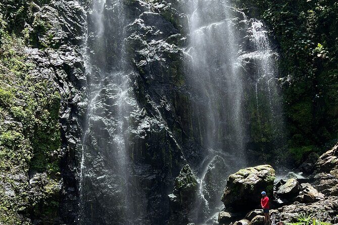 The Waterfall Adventure: Hiking in Paradise - Who should book this waterfall adventure