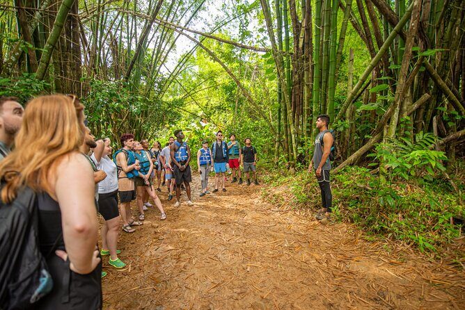 Top Rated El Yunque Rainforest & Waterslide – SmallGroup Tour - Second Watering Hole: Natural Rock Slide and Cliff Jumping