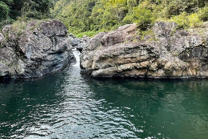 Toro Negro River Hike & Cliff Jumping Adventure; San Juan Pick Up - Guides make or break a hard hike: Sean, Brandon, Jesus, Ariam in the spotlight
